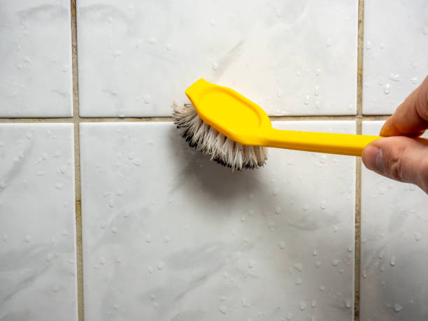 Best Commercial Mold Removal  in Heavener, OK