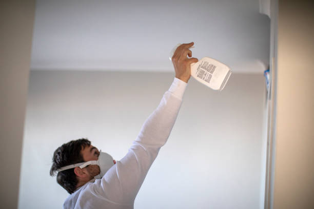  Heavener, OK Mold Removal Pros