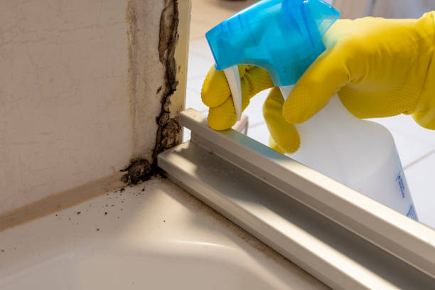 Best Mold Cleaning Services  in Heavener, OK